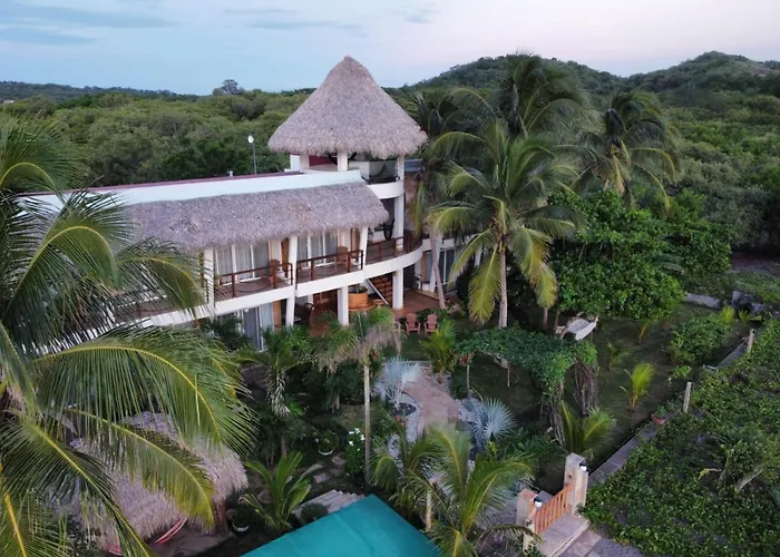 Alive Beach House