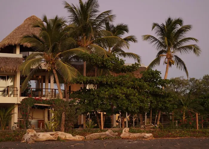 Alive Beach House